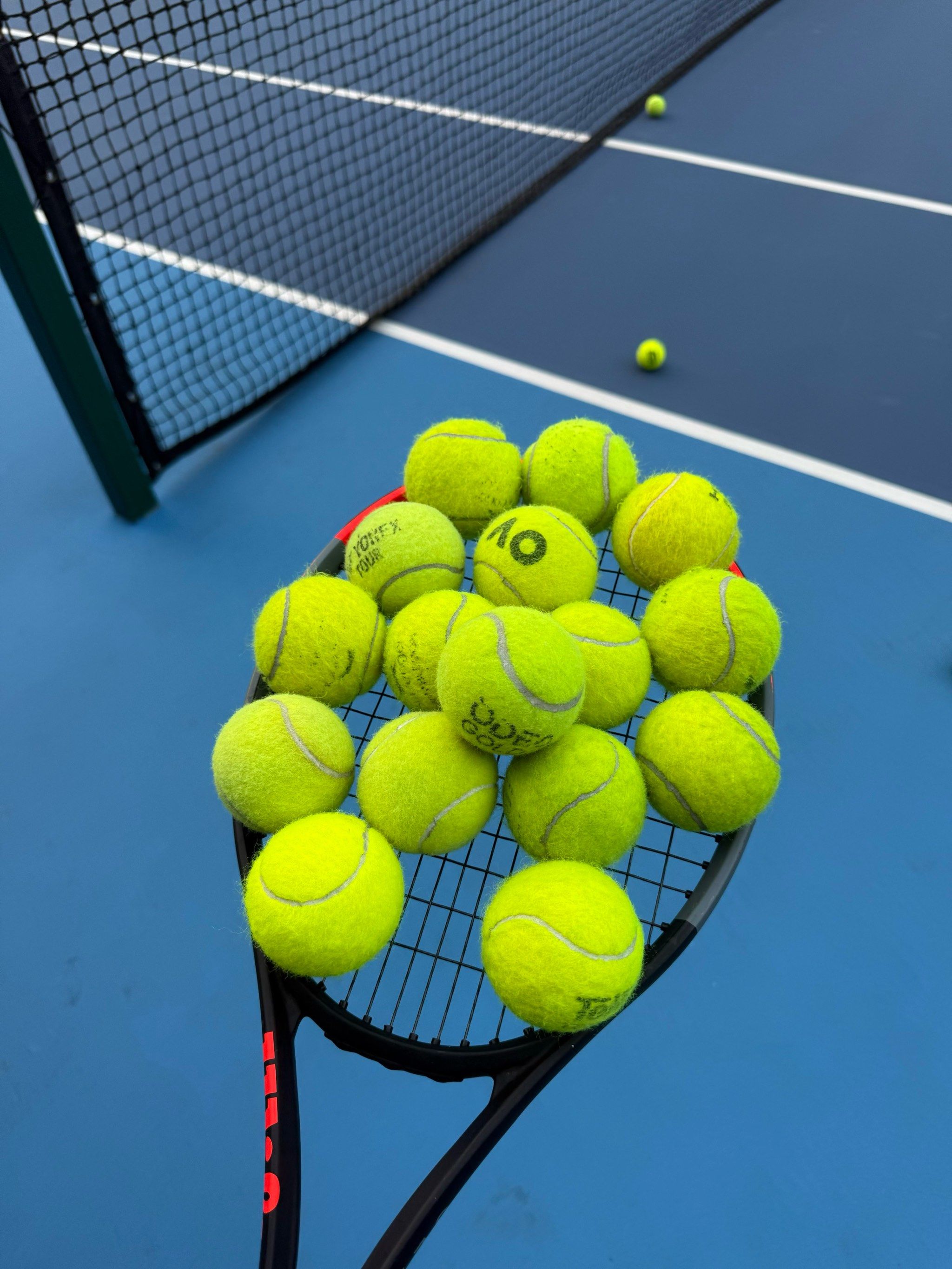 开放世界生 开放世界生